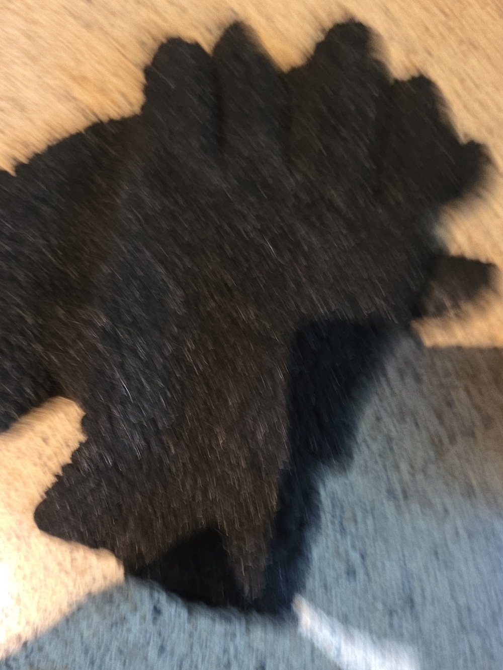 Black Gloves Some Wear On Fingers But Still Keeps Warm